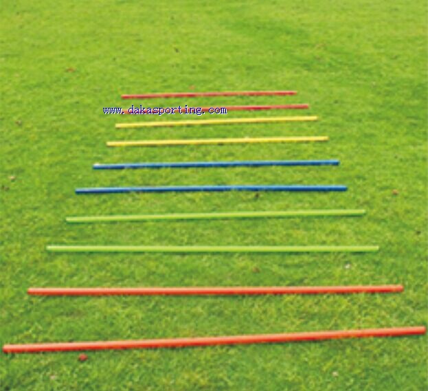 training poles with base